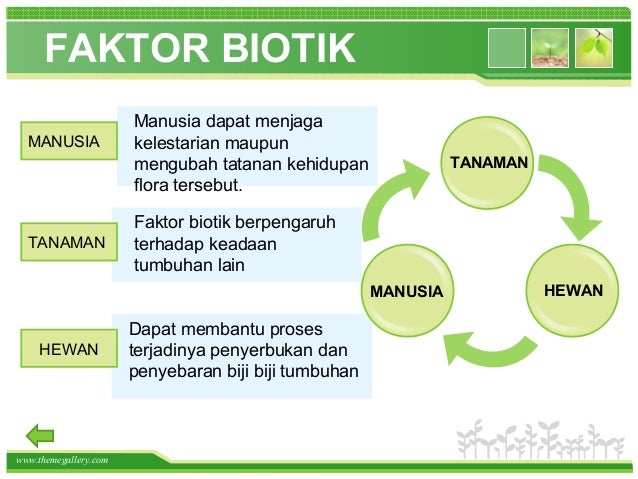 Persebaran Flora Dan Fauna Di Dunia Indonesia