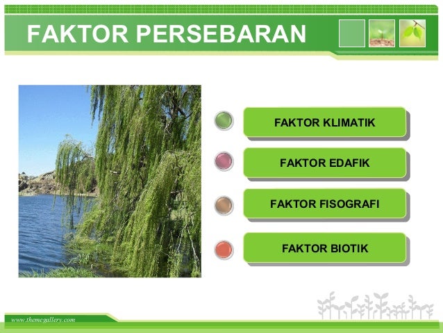 Persebaran Flora Dan Fauna Di Dunia Indonesia