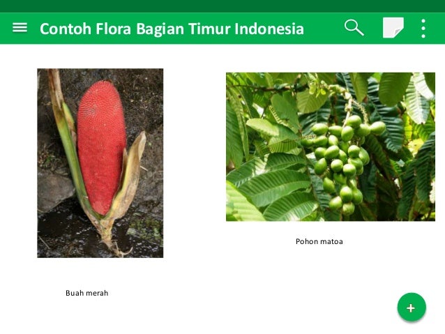 Persebaran flora  dan fauna diindoneia