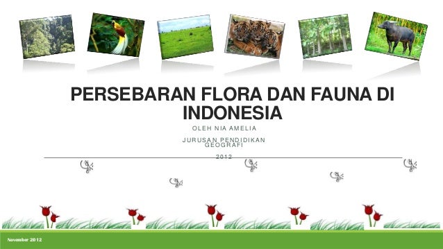 52+ Gambar Persebaran Flora Dan Fauna Di Indonesia Terlihat Keren 52+ Gambar Persebaran Flora Dan Fauna Di Indonesia Terlihat Keren