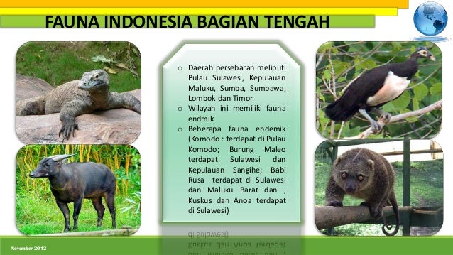 Persebaran flora dan fauna di indonesia  nia amelia 1001850