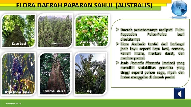 Persebaran flora  dan  fauna  di  indonesia nia amelia 1001850