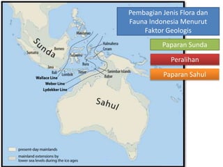 Pembagian Jenis Flora dan
Fauna Indonesia Menurut
Faktor Geologis
Paparan Sunda
Peralihan
Paparan Sahul
 
