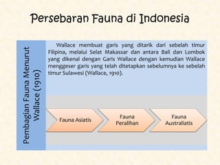 Persebaran Fauna di Indonesia

                               Wallace membuat garis yang ditarik dari sebelah timur
Pembagian Fauna Menurut

                          Filipina, melalui Selat Makassar dan antara Bali dan Lombok
                          yang dikenal dengan Garis Wallace dengan kemudian Wallace
                          menggeser garis yang telah ditetapkan sebelumnya ke sebelah
     Wallace (1910)



                          timur Sulawesi (Wallace, 1910).




                                                    Fauna               Fauna
                              Fauna Asiatis
                                                   Peralihan          Australiatis
 