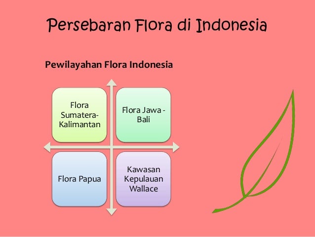  Persebaran  flora  di indonesia