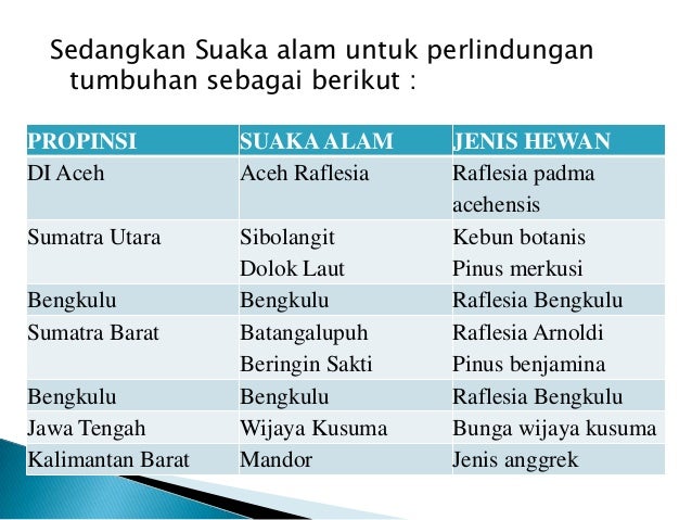 Persebaran Flora Di Indonesia