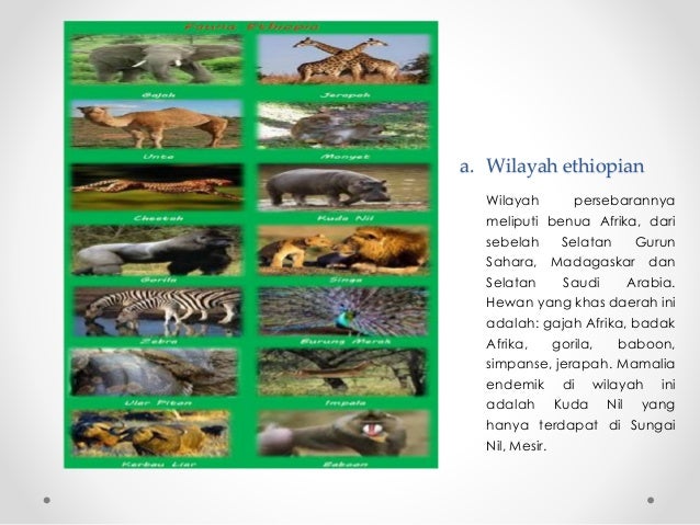 Download 42 Koleksi Gambar Flora Dan Fauna Di Mesir Paling Bagus 