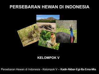 PERSEBARAN HEWAN DI INDONESIA 
KELOMPOK V 
Persebaran Hewan di Indonesia - Kelompok V -– Kadiirr--Akbarr--Egii--IIffa--Errna--Miia 
 