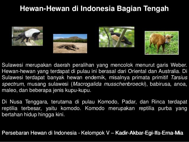 Persebaran hewan di indonesia Persebaran hewan di indonesia