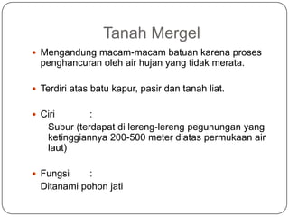 Tanah Mergel
 Mengandung macam-macam batuan karena proses
  penghancuran oleh air hujan yang tidak merata.

 Terdiri atas batu kapur, pasir dan tanah liat.


 Ciri        :
    Subur (terdapat di lereng-lereng pegunungan yang
    ketinggiannya 200-500 meter diatas permukaan air
    laut)

 Fungsi     :
  Ditanami pohon jati
 