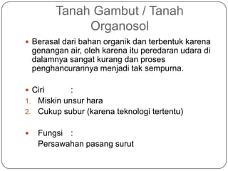 Tanah Gambut / Tanah
               Organosol
 Berasal dari bahan organik dan terbentuk karena
    genangan air, oleh karena itu peredaran udara di
    dalamnya sangat kurang dan proses
    penghancurannya menjadi tak sempurna.

 Ciri      :
1. Miskin unsur hara
2. Cukup subur (karena teknologi tertentu)


    Fungsi :
     Persawahan pasang surut
 