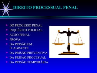 DIREITO PROCESSUAL PENAL ,[object Object],[object Object],[object Object],[object Object],[object Object],[object Object],[object Object],[object Object]