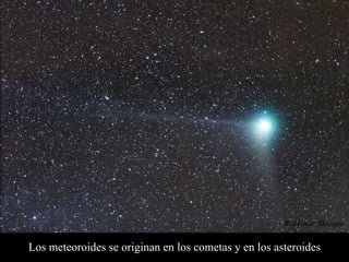 Los meteoroides se originan en los cometas y en los asteroides Waldemar Skorupa  