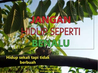 JANGAN
HIDUP SEPERTI
BENALU
Hidup sekali tapi tidak
berbuah
Pst Hendra Kasenda
www.gerejavictory.org
 