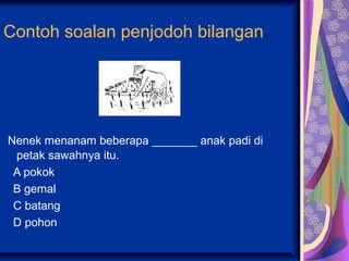 Contoh soalan penjodoh bilangan




Nenek menanam beberapa _______ anak padi di
 petak sawahnya itu.
 A pokok
 B gemal
 C batang
 D pohon
 