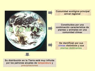 Comunidad ecológica principal
                                                       anivel regional




                                                      Constituidos por una
                                                 combinación característica de
                                                   plantas y animales en una
                                                       comunidad climax




                                                    Se identifican por sus
                                                   climas distintivos y sus
                                                     plantas dominantes




Su distribución en la Tierra está muy influida
 por los patrones anuales de temperatura y
               precipitaciones
 