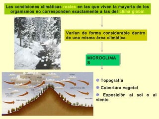 Las condiciones climáticas reales en las que viven la mayoría de los
  organismos no corresponden exactamente a las del clima global




                            Varían de forma considerable dentro
                            de una misma área climática



                                       MICROCLIMA
                                      MICROCLIMA
                                      SS



                                             Topografía
                                             Cobertura vegetal
                                             Exposición   al   sol   o   al
                                          viento
 