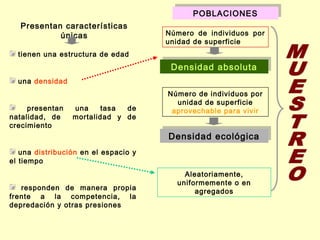 POBLACIONES
                                            POBLACIONES
   Presentan características
            únicas                    Número de individuos por
                                      unidad de superficie
  tienen una estructura de edad
                                       Densidad absoluta
                                       Densidad absoluta
  una densidad
                                      Número de individuos por
                                        unidad de superficie
     presentan   una    tasa  de       aprovechable para vivir
natalidad, de    mortalidad y de
crecimiento
                                      Densidad ecológica
                                      Densidad ecológica
   una distribución en el espacio y
el tiempo
                                          Aleatoriamente,
                                        uniformemente o en
   responden de manera propia                agregados
frente a la competencia, la
depredación y otras presiones
 