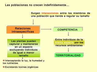 Las poblaciones no crecen indefinidamente…


                        Surgen interacciones entre los miembros de
                        una población que tiende a regular su tamaño



           Relaciones
          Relaciones                       COMPETENCIA
                                           COMPETENCIA
        intraespecíficas
       intraespecíficas

                                         Entre individuos de la
      Las plantas pueden
                                         misma especie por los
     capturar y mantenerse
                                         recursos ambientales
         en un espacio
     excluyendo individuos
       de igual o menor
            tamaño                        TERRITORIALIDAD
                                          TERRITORIALIDAD

  Interceptando la luz, la humedad y
los nutrientes
  Excretando toxinas orgánicas
 