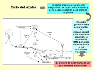 El azufre disuelto proviene del
Ciclo del azufre   desgate de las rocas, de la erosión y
                    de la descomposición de la materia
                                 orgánica



                                             El azufre
                                          gaseoso tiene
                                           como fuentes
                                                 la
                                          descomposició
                                          n de la materia
                                            orgánica, la
                                            emisión de
                                          DMS por algas
                                          de los océanos
                                               y las
                                            erupciones
                                            volcánicas




                          El Dióxido de azufre(SO 2 )es un
                             contaminante atmosférico
 