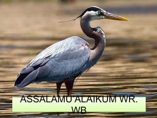 ASSALAMU’ALAIKUM WR.
WB
 