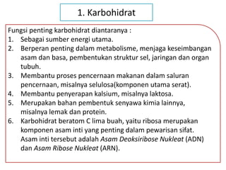 Fungsi penting karbohidrat diantaranya :
1. Sebagai sumber energi utama.
2. Berperan penting dalam metabolisme, menjaga keseimbangan
asam dan basa, pembentukan struktur sel, jaringan dan organ
tubuh.
3. Membantu proses pencernaan makanan dalam saluran
pencernaan, misalnya selulosa(komponen utama serat).
4. Membantu penyerapan kalsium, misalnya laktosa.
5. Merupakan bahan pembentuk senyawa kimia lainnya,
misalnya lemak dan protein.
6. Karbohidrat beratom C lima buah, yaitu ribosa merupakan
komponen asam inti yang penting dalam pewarisan sifat.
Asam inti tersebut adalah Asam Deoksiribose Nukleat (ADN)
dan Asam Ribose Nukleat (ARN).
1. Karbohidrat
 