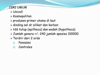 CIRI UMUM
  Unicell
  Kosmopolitan
  produsen primer utama di laut
  dinding sel dr silikat dan karbon
  tdd tutup (epitheca) dan wadah (hypotheca)
  Jumlah genera +/- 240 jumlah spesies 100000
  Terdiri dari 2 ordo
   1)  Pennales
   2)  Centrales
 