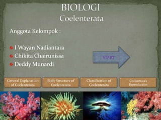 Anggota Kelompok :

    I Wayan Nadiantara
    Chikita Chairunissa                              START
    Deddy Munardi

General Explanation   Body Structure of   Classification of   Coelentrata’s
  of Coelenterata       Coelenterata       Coelenterata       Reproduction
 