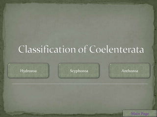 Hydrozoa   Scyphozoa   Anthozoa




                           Main Page
 