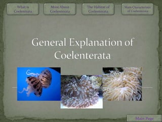 What is      More About     The Habitat of   Main Characteristic
Coelentrata   Coelenterata    Coelenterata     of Coelenterata




                                                     Main Page
 