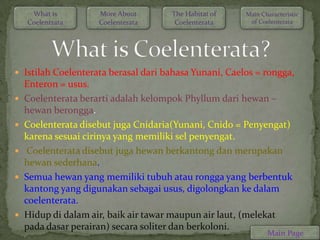 What is         More About      The Habitat of    Main Characteristic
    Coelentrata      Coelenterata     Coelenterata      of Coelenterata




 Istilah Coelenterata berasal dari bahasa Yunani, Caelos = rongga,
    Enteron = usus.
   Coelenterata berarti adalah kelompok Phyllum dari hewan –
    hewan berongga.
   Coelenterata disebut juga Cnidaria(Yunani, Cnido = Penyengat)
    karena sesuai cirinya yang memiliki sel penyengat.
    Coelenterata disebut juga hewan berkantong dan merupakan
    hewan sederhana.
   Semua hewan yang memiliki tubuh atau rongga yang berbentuk
    kantong yang digunakan sebagai usus, digolongkan ke dalam
    coelenterata.
   Hidup di dalam air, baik air tawar maupun air laut, (melekat
    pada dasar perairan) secara soliter dan berkoloni.
                                                              Main Page
 