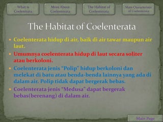 What is      More About     The Habitat of   Main Characteristic
  Coelentrata   Coelenterata    Coelenterata     of Coelenterata




 Coelenterata hidup di air, baik di air tawar maupun air
  laut.
 Umumnya coelenterata hidup di laut secara soliter
  atau berkoloni.
 Coelenterata jenis “Polip” hidup berkoloni dan
  melekat di batu atau benda-benda lainnya yang ada di
  dalam air. Polip tidak dapat bergerak bebas.
 Coelenterata jenis “Medusa” dapat bergerak
  bebas(berenang) di dalam air.



                                                       Main Page
 
