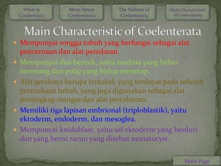 What is      More About      The Habitat of   Main Characteristic
    Coelentrata   Coelenterata     Coelenterata     of Coelenterata




 Mempunyai rongga tubuh yang berfungsi sebagai alat
    pencernaan dan alat peredaran.
   Mempunyai dua bentuk, yaitu medusa yang bebas
    berenang dan polip yang hidup menetap.
   Alat geraknya berupa tentakel, yang terdapat pada seluruh
    permukaan tubuh, yang juga digunakan sebagai alat
    penangkap mangsa dan alat pertahanan.
   Memiliki tiga lapisan embrional (triploblastik), yaitu
    ektoderm, endoderm, dan mesoglea.
   Mempunyai knidoblast, yaitu sel ektoderm yang berduri
    dan yang berisi racun yang disebut nematocyst.


                                                          Main Page
 