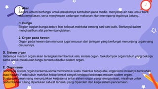 c. Akar
Secara umum berfungsi untuk melekatnya tumbuhan pada media, menyerap air dan unsur hara,
alat pernafasan, serta menyimpan cadangan makanan, dan menopang tegaknya batang.
d. Bunga
Bagian-bagian bunga antara lain kelopak mahkota benang sari dan putik. Berfungsi dalam
menghasilkan alat perkembangbiakan.
2. Organ pada hewan
Organ pada hewan dan manusia juga tersusun dari jaringan yang berfungsi menunjang organ yang
disusunnya.
D. Sistem organ
Beberapa macam organ akan terangkai membentuk satu sistem organ. Sekelompok organ tubuh yang bekerja
sama untuk melakukan fungsi tertentu disebut sistem organ.
E. Organisme
Beberapa sistem organ bersama-sama membentuk suatu makhluk hidup atau organisme misalnya tumbuhan
atau hewan. Pada tubuh makhluk hidup bersel banyak terdapat beberapa macam sistem organ.
Suatu gambaran yang menunjukkan kerjasama antar sistem organ yang terorganisasi, misalnya untuk
pertumbuhan tulang diperlukan zat-zat tertentu yang diperoleh dari kerja sistem pencernaan.
 