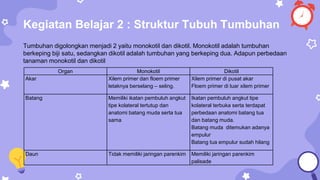 Kegiatan Belajar 2 : Struktur Tubuh Tumbuhan
Tumbuhan digolongkan menjadi 2 yaitu monokotil dan dikotil. Monokotil adalah tumbuhan
berkeping biji satu, sedangkan dikotil adalah tumbuhan yang berkeping dua. Adapun perbedaan
tanaman monokotil dan dikotil
Organ Monokotil Dikotil
Akar Xilem primer dan floem primer
letaknya berselang – seling.
Xilem primer di pusat akar
Floem primer di luar xilem primer
Batang Memiliki ikatan pembuluh angkut
tipe kolateral tertutup dan
anatomi batang muda serta tua
sama
Ikatan pembuluh angkut tipe
kolateral terbuka serta terdapat
perbedaan anatomi batang tua
dan batang muda.
Batang muda ditemukan adanya
empulur
Batang tua empulur sudah hilang
Daun Tidak memiliki jaringan parenkim Memiliki jaringan parenkim
palisade
 