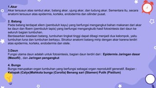 1.Akar
Akar tersusun atas rambut akar, batang akar, ujung akar, dan tudung akar. Sementara itu, secara
anatomi tersusun atas epidermis, korteks, endodermis dan silinder pusat.
2. Batang
Pada batang terdapat xilem (pembuluh kayu) yang berfungsi mengangkut bahan makanan dari akar
ke daun dan floem (pembuluh tapis) yang berfungsi mengangkutb hasil fotosintesis dari daun ke
seluruh bagian tumbuhan.
Berdasarkan keadaan batang, tumbuhan tingkat tinggi dapat dibagi menjadi dua kelompok, yaitu
tumbuhan luna dan tumbuhan berkayu. Struktur anatomi batang mirip dengan akar karena terdiri
atas epidermis, korteks, endodermis dan stele.
3.Daun
Fungsi utama daun adalah untuk fotosintesis, bagian daun terdiri dari : Epidermis Jaringan dasar
(Mesofil) , dan Jaringan pengangkut
4. Bunga
Bunga merupakan organ tumbuhan yang berfungsi sebagai organ reproduktif generatif. Bagian :
Kelopak (Calyx)Mahkota bunga (Corolla) Benang sari (Stamen) Putik (Pistilum)
 