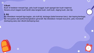 5.Buah
Buah di bedakan menjadi tiga, yaitu buah tunggal, buah agregat dan buah majemuk
Secara umum bagian buah terdiri atas tangkai buah, kulit buah, daging buah, dan biji.
6. Biji
Biji dibedakan menjadi tiga bagian, yitu kulit biji, lembaga (bakal tanaman baru), dan keping lembaga.
Biji merupakan alat perkembangbiakan generatif. Biji dibedakan menjadi dua jenis, yaitu monokotil
(berkeping satu) dan dikotil (berkeping dua)
 