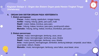 Kegiatan Belajar 2 : Organ dan Sistem Organ pada Hewan Tingkat Tinggi
(Vertebrata)
A. ORGAN DAN SISTEM ORGAN PADA VERTEBRATA
1. Sistem pernapasan
Pisces : mulut, insang, operkulum, rongga insang
Amfibi : insang, hidung, glotis, paru-paru, kulit
Reptil : mulut, trakea, bronkus, paru-paru
Aves : hidung, trakea, bronkus, paru-paru, pundi-pundi udara
Mamalia : hidung, laring, trakea, bronkus, bronkiolus, paru-paru
2. Sistem pencernaan
Pisces : mulut, kerongkongan, lambung, usus, anus
Amfibi : mulut, kerongkongan, lambung, usus, kloaka
Reptil : mulut, kerongkongan, lambung, usus, kloaka
Aves : mulut (paruh), kerongkongan, tembolok, lambung kelenjar, empedal, usus halus,
usus besar, rektum, kloaka
Mamalia : mulut, kerongkongan, lambung, usus halus, usus besar, anus
 