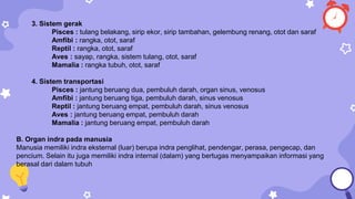 3. Sistem gerak
Pisces : tulang belakang, sirip ekor, sirip tambahan, gelembung renang, otot dan saraf
Amfibi : rangka, otot, saraf
Reptil : rangka, otot, saraf
Aves : sayap, rangka, sistem tulang, otot, saraf
Mamalia : rangka tubuh, otot, saraf
4. Sistem transportasi
Pisces : jantung beruang dua, pembuluh darah, organ sinus, venosus
Amfibi : jantung beruang tiga, pembuluh darah, sinus venosus
Reptil : jantung beruang empat, pembuluh darah, sinus venosus
Aves : jantung beruang empat, pembuluh darah
Mamalia : jantung beruang empat, pembuluh darah
B. Organ indra pada manusia
Manusia memiliki indra eksternal (luar) berupa indra penglihat, pendengar, perasa, pengecap, dan
pencium. Selain itu juga memiliki indra internal (dalam) yang bertugas menyampaikan informasi yang
berasal dari dalam tubuh
 