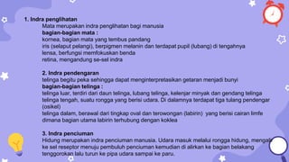1. Indra penglihatan
Mata merupakan indra penglihatan bagi manusia
bagian-bagian mata :
kornea, bagian mata yang tembus pandang
iris (selaput pelangi), berpigmen melanin dan terdapat pupil (lubang) di tengahnya
lensa, berfungsi memfokuskan benda
retina, mengandung se-sel indra
2. Indra pendengaran
telinga begitu peka sehingga dapat menginterpretasikan getaran menjadi bunyi
bagian-bagian telinga :
telinga luar, terdiri dari daun telinga, lubang telinga, kelenjar minyak dan gendang telinga
telinga tengah, suatu rongga yang berisi udara. Di dalamnya terdapat tiga tulang pendengar
(osikel)
telinga dalam, berawal dari tingkap oval dan terowongan (labirin) yang berisi cairan limfe
dimana bagian utama labirin terhubung dengan koklea
3. Indra penciuman
Hidung merupakan indra penciuman manusia. Udara masuk melalui rongga hidung, mengalir
ke sel reseptor menuju pembuluh penciuman kemudian di alirkan ke bagian belakang
tenggorokan lalu turun ke pipa udara sampai ke paru.
 