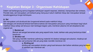 Kegiatan Belajar 3 : Organisasi Kehidupan
Dalam sel berlangsung semua kegiatan kehidupan seperti respirasi, ekskresi, transportasi dan sintesis.
Pendek kata, sel merupakan unit terkecil yang menyusun tubuh makhluk hidup dan merupakan tempat
terselenggaranya fungsi kehidupan.
A. Sel
Sel merupakan unit struktural dan fungsional terkecil pada makhluk hidup.
Sel sebagai unit struktural terkecil bermakna bahwa sel merupakan penyusun yang mendasar bagi tubuh
makhluk hidup setiap sel tersusun dari berbagai bagian yaitu membran plasma inti sel sitoplasma dan
organel sel.
1. Bentuk sel
Bentuk sel sangat bervariasi ada yang seperti kota, bulat, bahkan ada yang bentuknya tidak
beraturan.
2. Struktur sel
Sel yang memiliki membran pelindung material inti disebut sebagai sel eukariot, misalnya sel
hewan dan sel tumbuhan titik sel yang tidak memiliki membran inti
a. Dinding sel
dinding sel merupakan struktur yang kuat tersusun dari bahan selulosa yang terdapat
di sebelah luar membran sel.
 