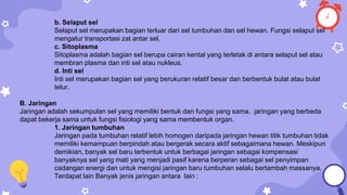b. Selaput sel
Selaput sel merupakan bagian terluar dari sel tumbuhan dan sel hewan. Fungsi selaput sel
mengatur transportasi zat antar sel.
c. Sitoplasma
Sitoplasma adalah bagian sel berupa cairan kental yang terletak di antara selaput sel atau
membran plasma dan inti sel atau nukleus.
d. Inti sel
Inti sel merupakan bagian sel yang berukuran relatif besar dan berbentuk bulat atau bulat
telur.
B. Jaringan
Jaringan adalah sekumpulan sel yang memiliki bentuk dan fungsi yang sama. jaringan yang berbeda
dapat bekerja sama untuk fungsi fisiologi yang sama membentuk organ.
1. Jaringan tumbuhan
Jaringan pada tumbuhan relatif lebih homogen daripada jaringan hewan titik tumbuhan tidak
memiliki kemampuan berpindah atau bergerak secara aktif sebagaimana hewan. Meskipun
demikian, banyak sel baru terbentuk untuk berbagai jaringan sebagai kompensasi
banyaknya sel yang mati yang menjadi pasif karena berperan sebagai sel penyimpan
cadangan energi dan untuk mengisi jaringan baru tumbuhan selalu bertambah massanya.
Terdapat lain Banyak jenis jaringan antara lain :
 