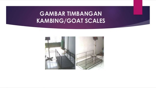 Jenis Timbangan