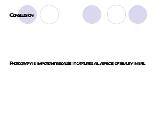 Conslusion Photograpy is important because it captures all aspects of beauty in life. 