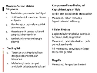 Membran Sel dan Matriks
Sitoplasma
1. Terdiri atas protein dan fosfolipid
2. Lipid berbentuk membran bilayer
amfipatik
3. Membungkus organel yang tidak
bermembran
4. Materi genetik berupa nukleoid
yang tidak bermembran
5. Tambahan kromosom berupa
plasmid
Komponen diluar dinding sel
Kapsul dan LapisanTipis
Terdiri atas polisakarida atau zat lain
Membantu tahan terhadap
fagositosis oleh sel inang
Pili dan fimbrae
Bagian tubuh yang halus dan tidak
berperan pada pergerakan
Membantu pelekatan bakteri pada
permukaan benda
Pili membantu penyebaran faktor
sex secara genetis
Flagella
Membantu Pergerakan bakteri
Dinding Sel
1. Tersusun atas Peptidoglikan
dengan kadar ketebalan
bervariasi
2. Melindungi serta tempat
antibiotik bekerja pada bakteri
 