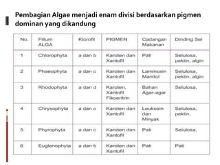 Pembagian Algae menjadi enam divisi berdasarkan pigmen
dominan yang dikandung
 