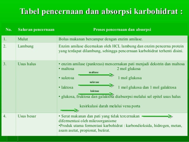 Presentasi Pencernaan Makanan Karbohidrat Presentasi Pencernaan Makanan Karbohidrat