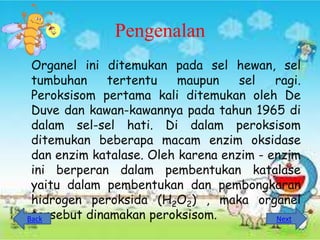 Pengenalan
 Organel ini ditemukan pada sel hewan, sel
 tumbuhan     tertentu    maupun    sel   ragi.
 Peroksisom pertama kali ditemukan oleh De
 Duve dan kawan-kawannya pada tahun 1965 di
 dalam sel-sel hati. Di dalam peroksisom
 ditemukan beberapa macam enzim oksidase
 dan enzim katalase. Oleh karena enzim - enzim
 ini berperan dalam pembentukan katalase
 yaitu dalam pembentukan dan pembongkaran
 hidrogen peroksida (H2O2) , maka organel
 tersebut dinamakan peroksisom.
Back                                      Next
 