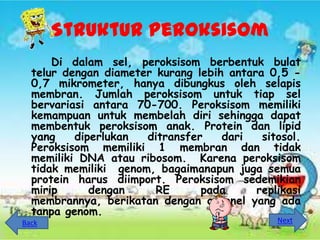 Struktur peroksisom
      Di dalam sel, peroksisom berbentuk bulat
  telur dengan diameter kurang lebih antara 0,5 -
  0,7 mikrometer, hanya dibungkus oleh selapis
  membran. Jumlah peroksisom untuk tiap sel
  bervariasi antara 70-700. Peroksisom memiliki
  kemampuan untuk membelah diri sehingga dapat
  membentuk peroksisom anak. Protein dan lipid
  yang    diperlukan  ditransfer    dari   sitosol.
  Peroksisom memiliki 1 membran dan tidak
  memiliki DNA atau ribosom. Karena peroksisom
  tidak memiliki genom, bagaimanapun juga semua
  protein harus diimport. Peroksisom sedemikian
  mirip      dengan     RE      pada      replikasi
  membrannya, berikatan dengan organel yang ada
  tanpa genom.
Back                                          Next
 
