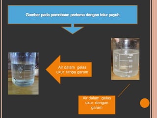 Air dalam gelas
ukur tanpa garam
Air dalam gelas
ukur dengan
garam
 